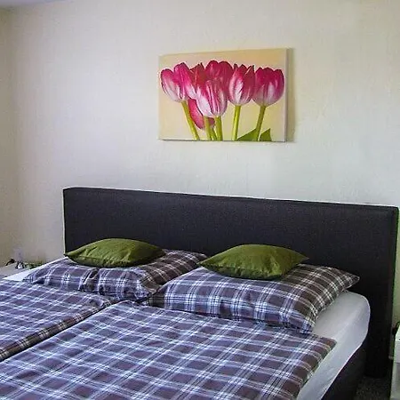 Apartman Near The Hexentanzplatz Thale